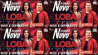 banda a loba