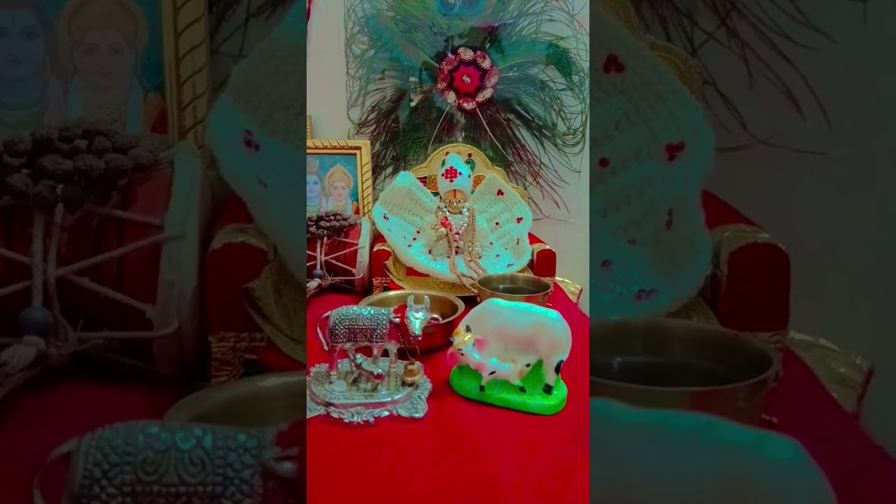 Radhe Radhe Jai Shri Krishna 