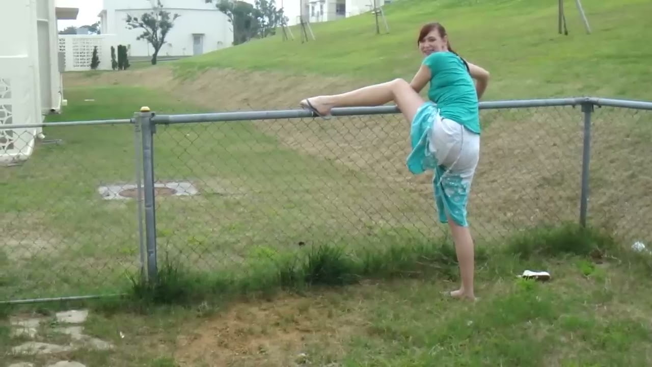 Drunken Wife Attempting to Hop a Fence pic