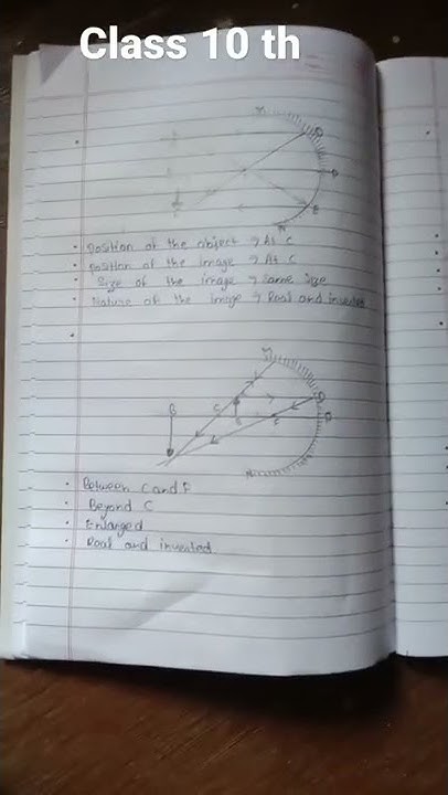 class 10 physics chapter 1 notes cbse 2022-2023 - YouTube
