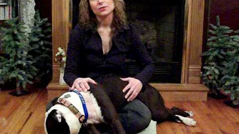 Anne Angelo Webb - "The Animal Intuitive"