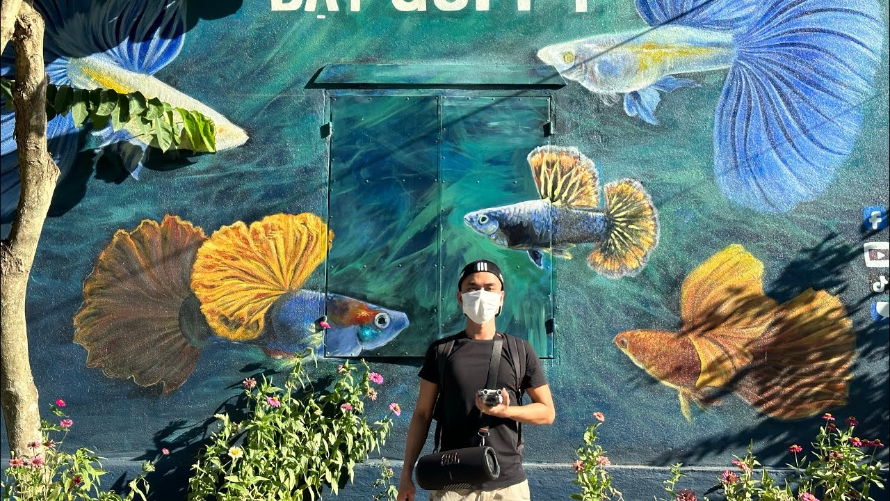 Tình Hình Trại Cá Bảy Màu Sau 7 Ngày Nhập Viện | Dat Guppy