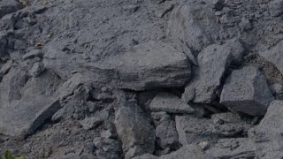 Titan Mining in Fowler begins processing graphite