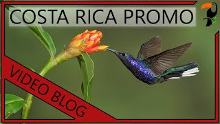 Bird Photography Workshop - Costa Rica (With Wildlife Photographer Glenn Bartley)