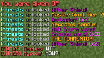 I broke Hypixel Skyblock