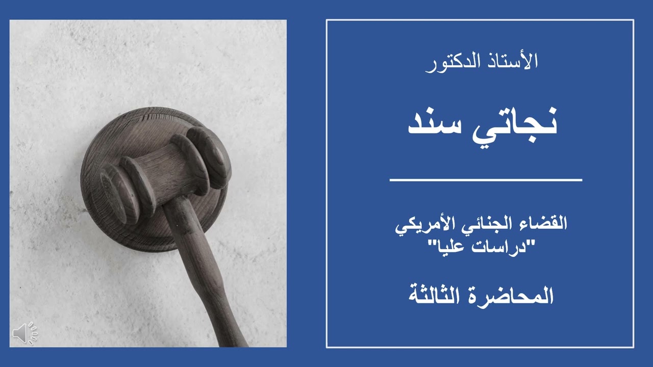 القضاء الجنائي الأمريكي | المحاضرة 2 | د نجاتي سند