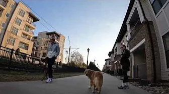 Charlotte Electric Unicycle Commute 12/13/22