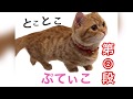 とことこぷてぃこ第2弾