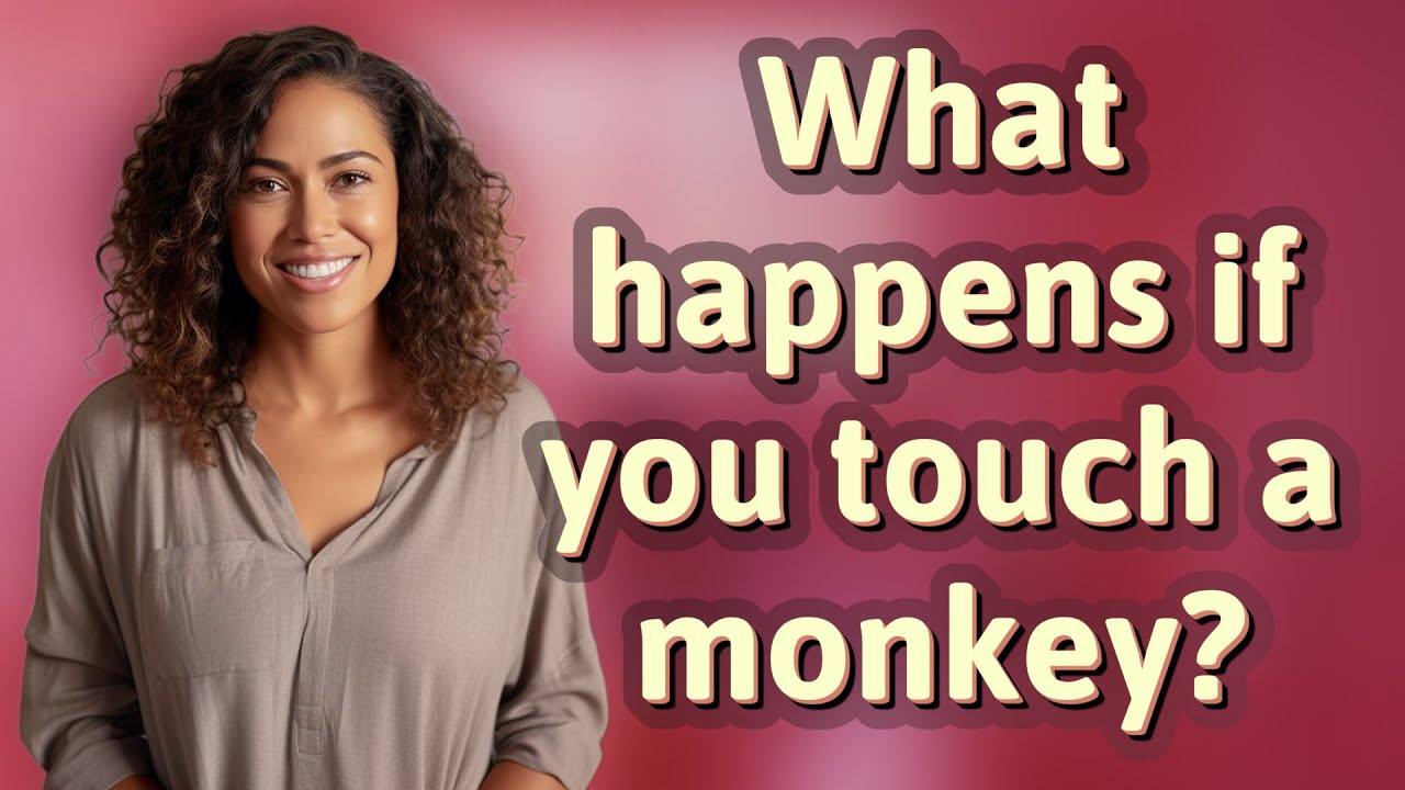 What happens if you touch a monkey? - YouTube