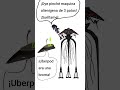crossover random de murder drones x war of the Worlds 2005 #murderdrones #waroftheworlds #humor