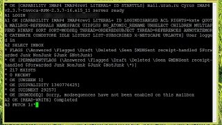 IMAP в текстовом режиме | Практика по курсу 