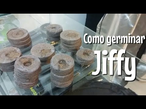 Vídeo: Coco Pellet Seed Starting - Como usar discos de coco para plantio de sementes