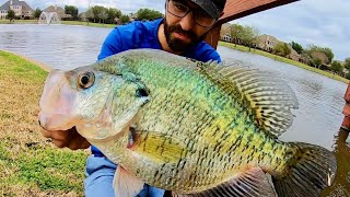 This CRAPPIE eats BASS FOR BREAKFAST!!!