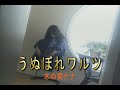 (カラオケ) うぬぼれワルツ / 木の実ナナ