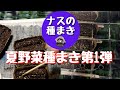 夏野菜種まき第1弾【ナス】の種まき【くろべえ】【千両2号】【泉州水ナス】【揚げてトルコナス】【家庭菜園】