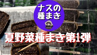 夏野菜種まき第1弾【ナス】の種まき【くろべえ】【千両2号】【泉州水ナス】【揚げてトルコナス】【家庭菜園】