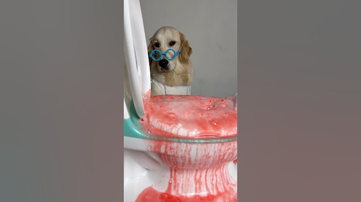Funny experiment from Elza 🐶🧪🌋#dogs #dog