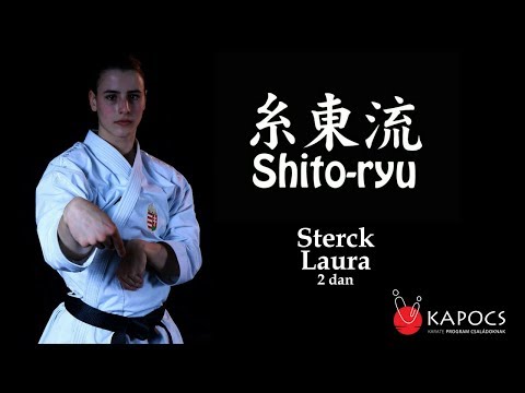 Video: Rozdiel Medzi Karate A Taekwondom