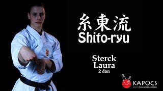 Shito-ryu karate bázistechnikák (shito-ryu kihon waza) - Kapocs Sportprogram
