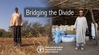 Bridging the Divide