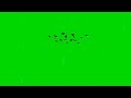 Birds Flying Green Screen Template Right To Left 