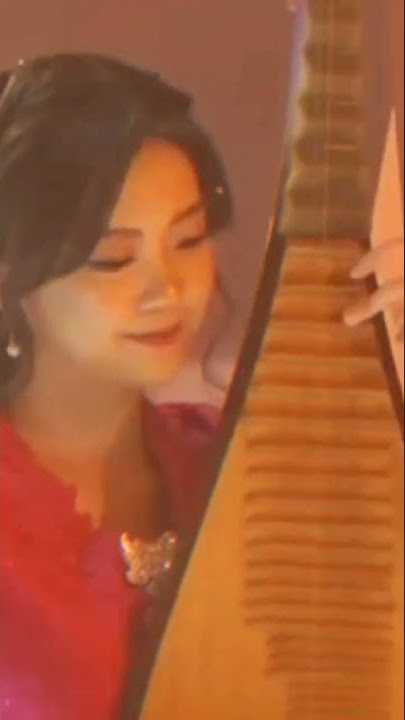 More Beautiful Chinese Instrumental Music: A Must Watch!