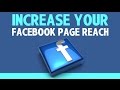 Top 10 Tips to Increase your Facebook Page Reach