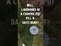 Can Two Landmines in a Cooking Pot Destroy a DayZ Bear? #dayz, #shorts