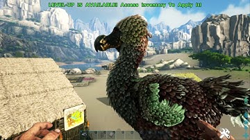 ARK: Survival Evolved_how to build a large dodo coop?