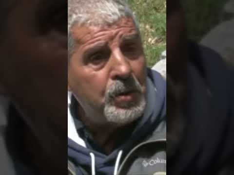 Acugher A D Tarzud Felli