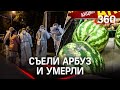 Умерли, съев арбуз: в Москве бабушка и внучка отравились арбузом из "Магнита"