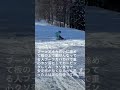 足首動かさずにしゃがむと全てがわかる