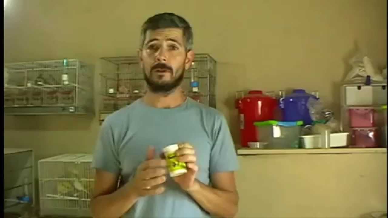 la cria de canarios ( bomba de humo para prevenir acaros ) - YouTube