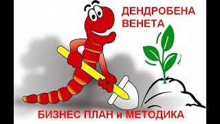 Бизнес план и методика кормления. #Дендробена венета. Ящичная технология. Бизнес план и методика кормления. #Дендробена венета. Ящичная технология.