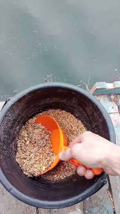 Корм для Рыбы. Разведение Карпа, Карася. Рыбалка. Fish food. Carp ...