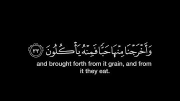 ياحسرة على العباد /هيثم الدخين /ماتيسر من سورة يس / شاشة سوداء
