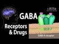 Neuroscience basics gaba receptors and gaba drugs animation