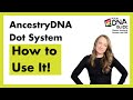 AncestryDNA's Dot System: An Introduction