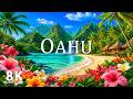OAHU Hawaii 8K Spring In May 2026 Turquoise Beaches Tropical Bloom Escape 