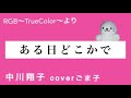 ある日どこかで/中川翔子 coverごま子【歌ってみた】