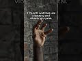 Movement Types 101