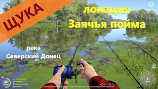 Русская рыбалка 4 - река Северский Донец - Щука у палатки
