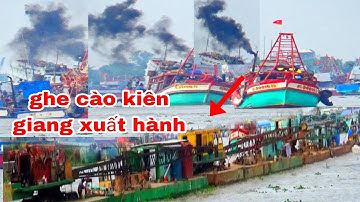 GHE CÀO KIÊN GIANG XUẤT HÀNH ĐÔNG NGHẸT NGAY TẮC CẬU