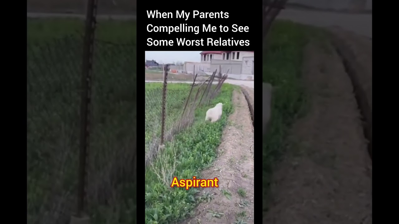 Aspirant'S Life🥺🔥💯 