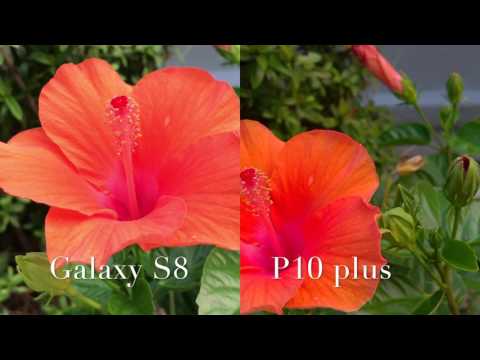 SAMSUNG GALAXY S8 vs HUAWEI P10 PLUS CAMERA TEST