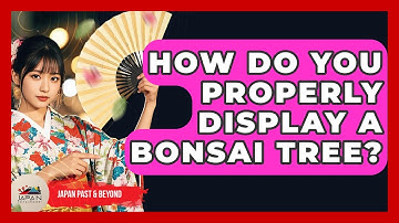How Do You Properly Display A Bonsai Tree? - Japan Past and Present