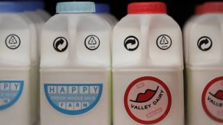 Download lagu Love story in milk Love story in milk