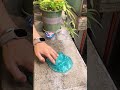 Hehe, I'm here! 🤓 I have to make up for class tomorrow, oh well ヽ(・_・;)ノ #Slime #StressRelief