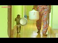 Adorable Monkey Kako Helping Mom Carry Rice Cooker To Cooking
