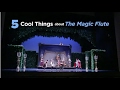 5 Things About The Magic Flute!